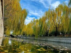 -元大都城垣遗址公园