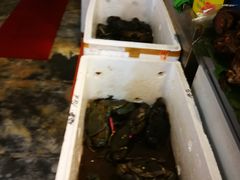 -大树下海鲜饭店