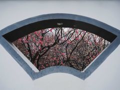 -梅花山(明孝陵内)