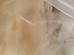 -糕小爱动物奶油生日蛋糕定制(晋江万达店)