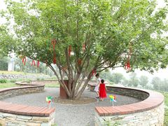 -紫云台香草园