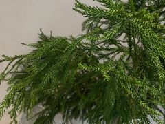 -La Porte de Paris 巴黎之门法式甜品