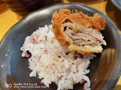 -胜博殿日式炸猪排(西红门店)