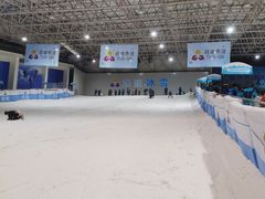 -绍兴启迪乔波冰雪世界