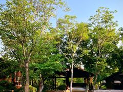 -盘龙城国家考古遗址公园