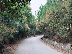 -雨花胜境