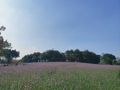 -厦门园林博览苑