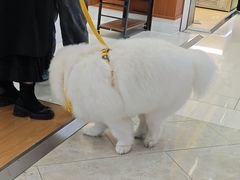 -金鹰(江宁店)