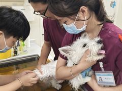 -美联众合动物医院·24h京西诊疗中心