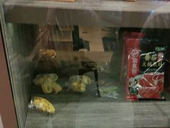 -海底捞火锅(龙岗星河COCO Park店)