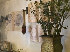 -春风·有糖(崇宁路店)
