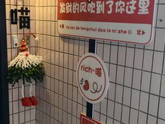 -有喵·猫咖·狗咖·30几只猫10只小狗(岗厦店)