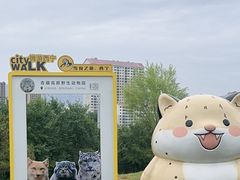 -青藏高原野生动物园