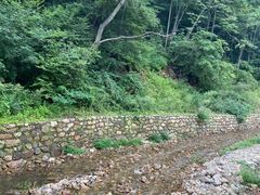 -大连天门山国家森林公园
