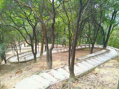 -火炉山森林公园
