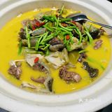 品鉴午间美味佳肴