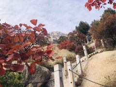 -北京凤凰岭
