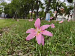 -美兰湖景区