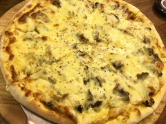 -百好乐宠物友好餐厅(朝外大街店)