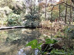 -燕晗山郊野公园