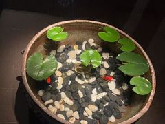 -曲水兰亭(北京四惠店)