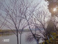 -艾溪湖湿地公园