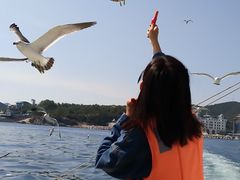 -鼎香缘海鲜自助火锅烤肉(锦辉购物广场店)