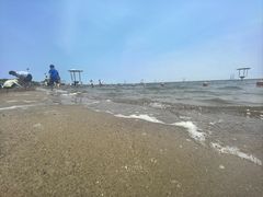 -碧海金沙