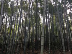 -敬亭山风景名胜区