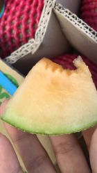 -爱乐婴童水育早教中心·儿童游泳中心(田园商业广场店)