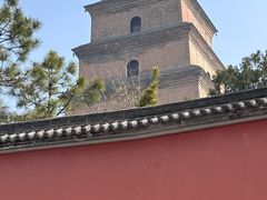 -大慈恩寺(大雁塔)