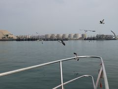 -拓恩帆船俱乐部