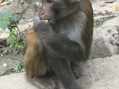 -御轩足道·SPA·养生·保健(瑞金北路店)