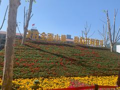 -民园广场