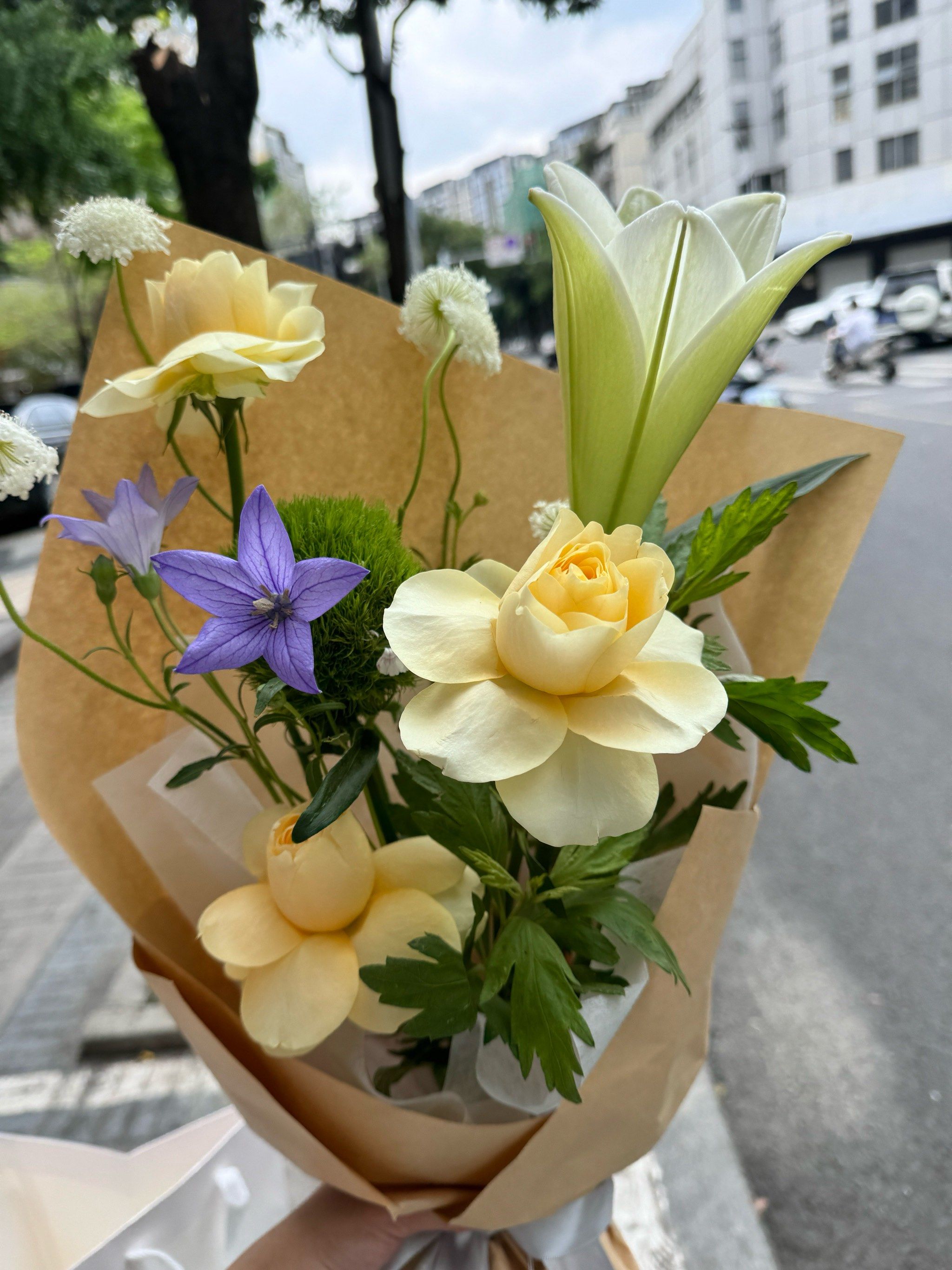 今天我收到了一束漂亮的花
