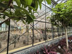 -南宫五洲植物乐园