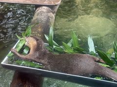 -香港海洋公园