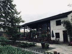 -田园东方蜜桃村的田野营地