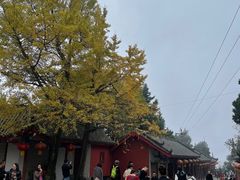 -金堂县云顶石城风景区