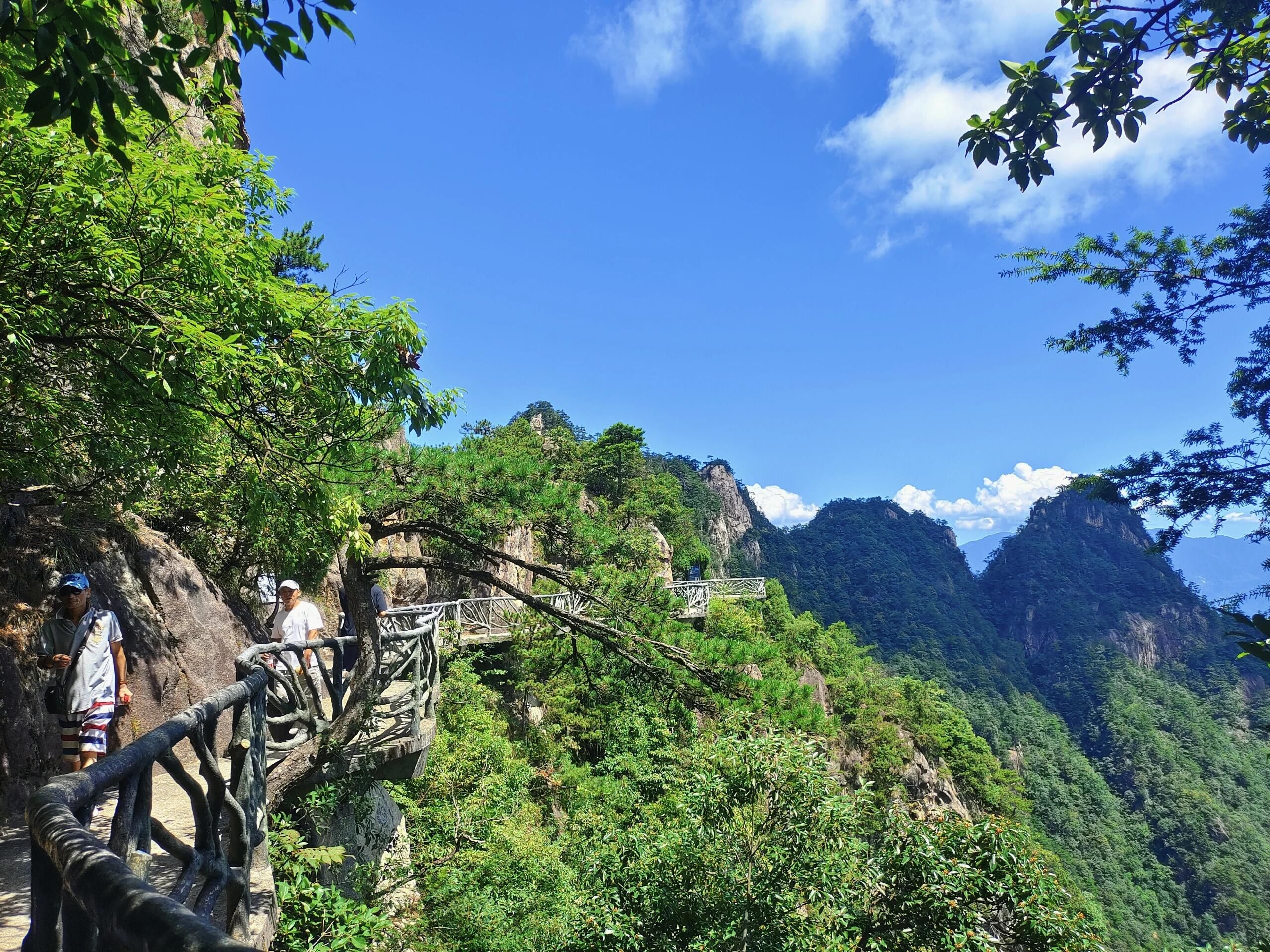 临安大明山徒步攻略 | 探索"浙江小黄山"