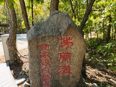 -茅兰沟国家森林公园