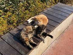 -昆山城市生态森林公园