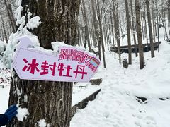 -洛阳白云山景区