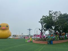 -秦皇岛乐岛海洋王国