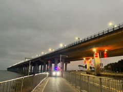 -宝安西湾红树林湿地公园