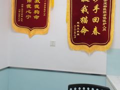-特一安24小时宠物医院·骨科·中兽医