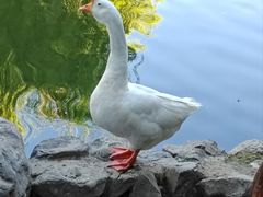 -天毓山庄·餐厅