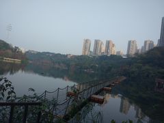 -重庆彩云湖湿地公园