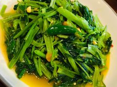 -荷花泰菜(东方新天地店)