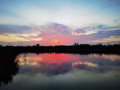 -春花秋色城市公园